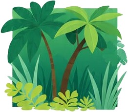 a set of tropical plants and plants.jpg